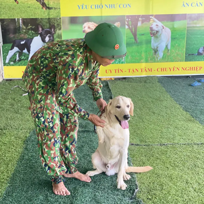 Huấn luyện chó Malinois tại KHUYỂN VIỆT