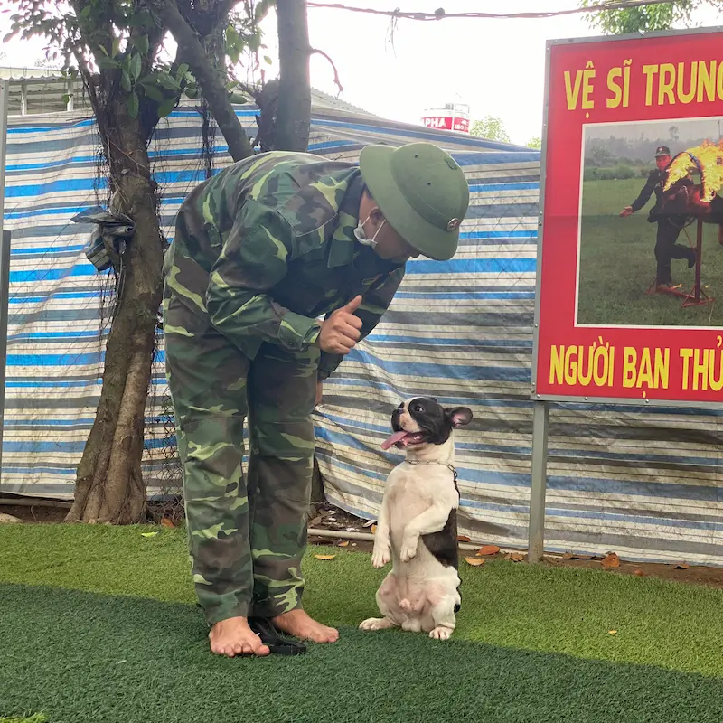 Huấn luyện chó Malinois tại KHUYỂN VIỆT