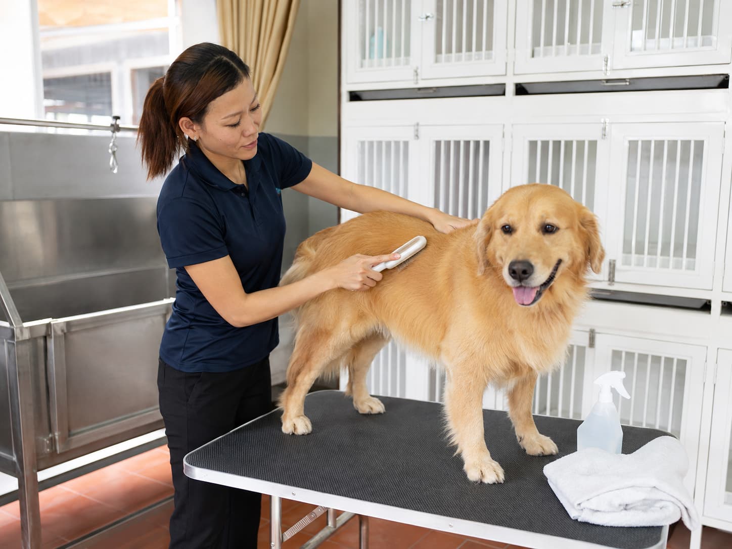 Khu chăm sóc và huấn luyện chó tại KHUYỂN VIỆT