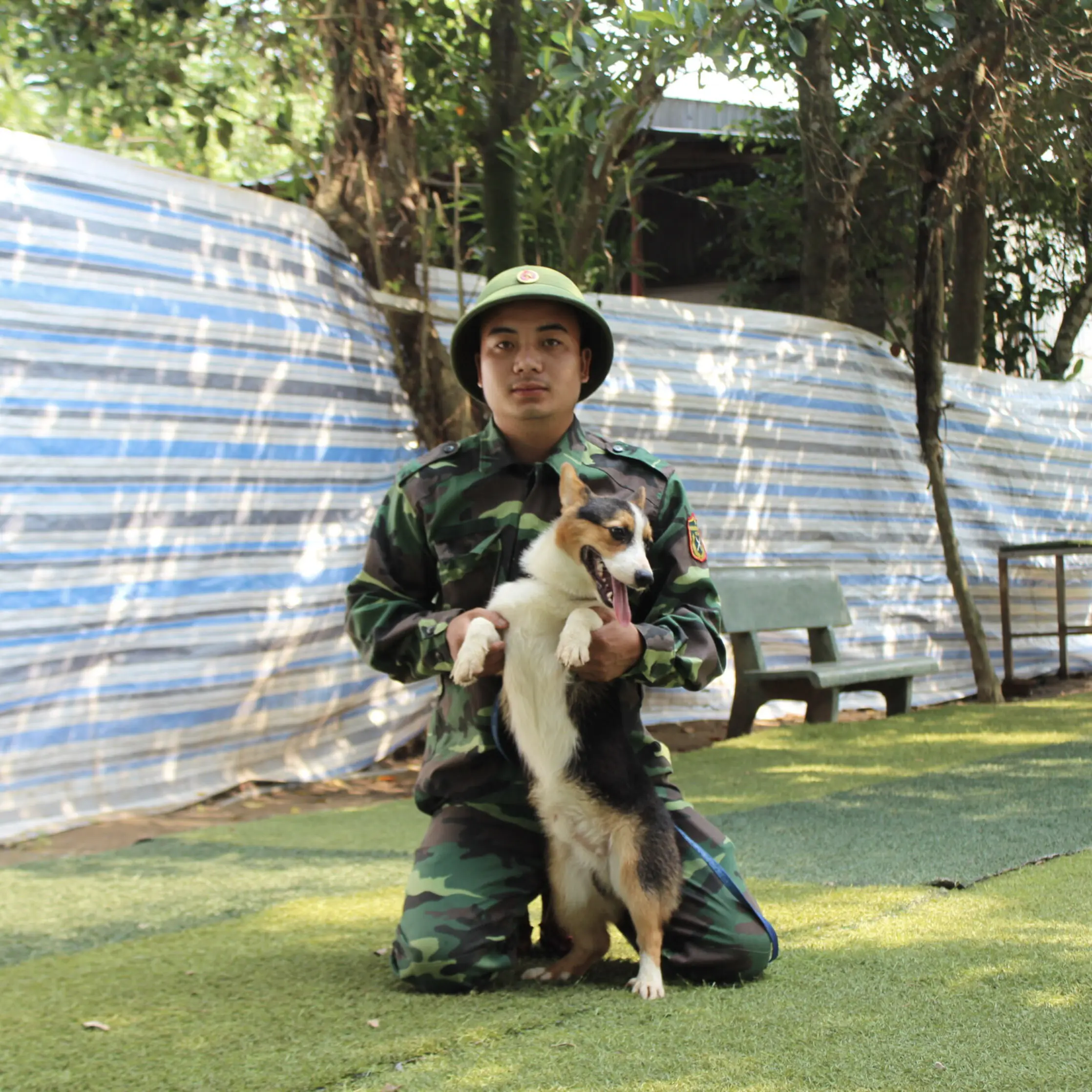 Huấn luyện chó Malinois tại KHUYỂN VIỆT