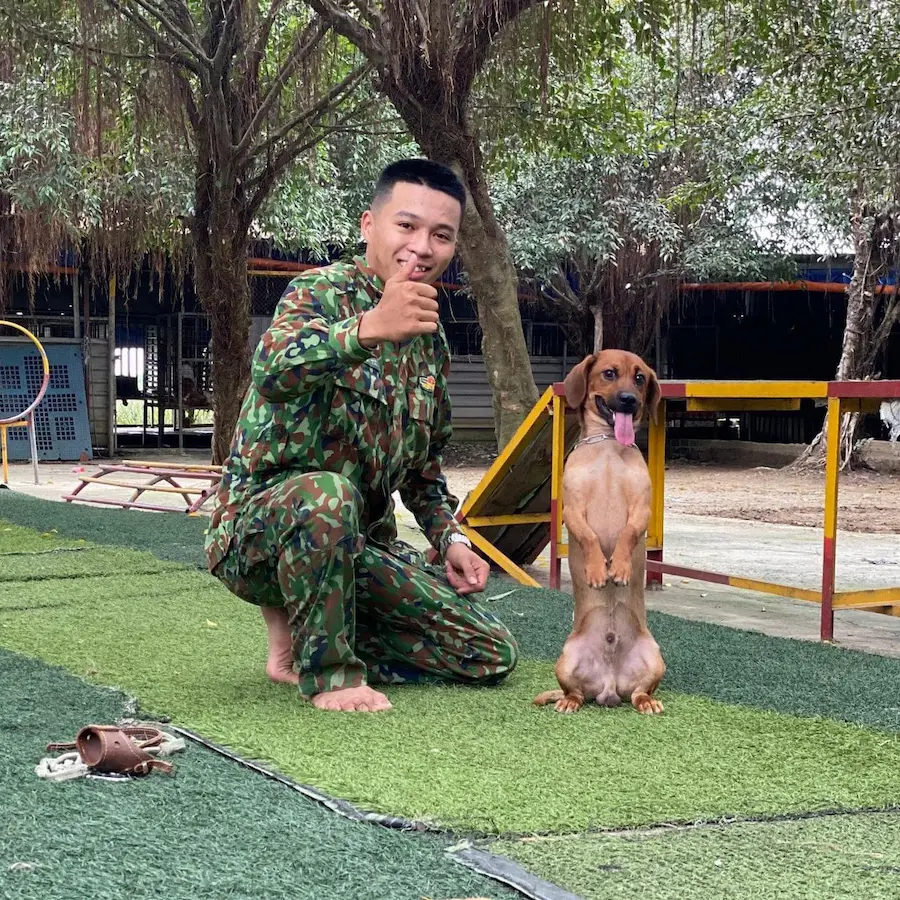 Huấn luyện chó Malinois tại KHUYỂN VIỆT