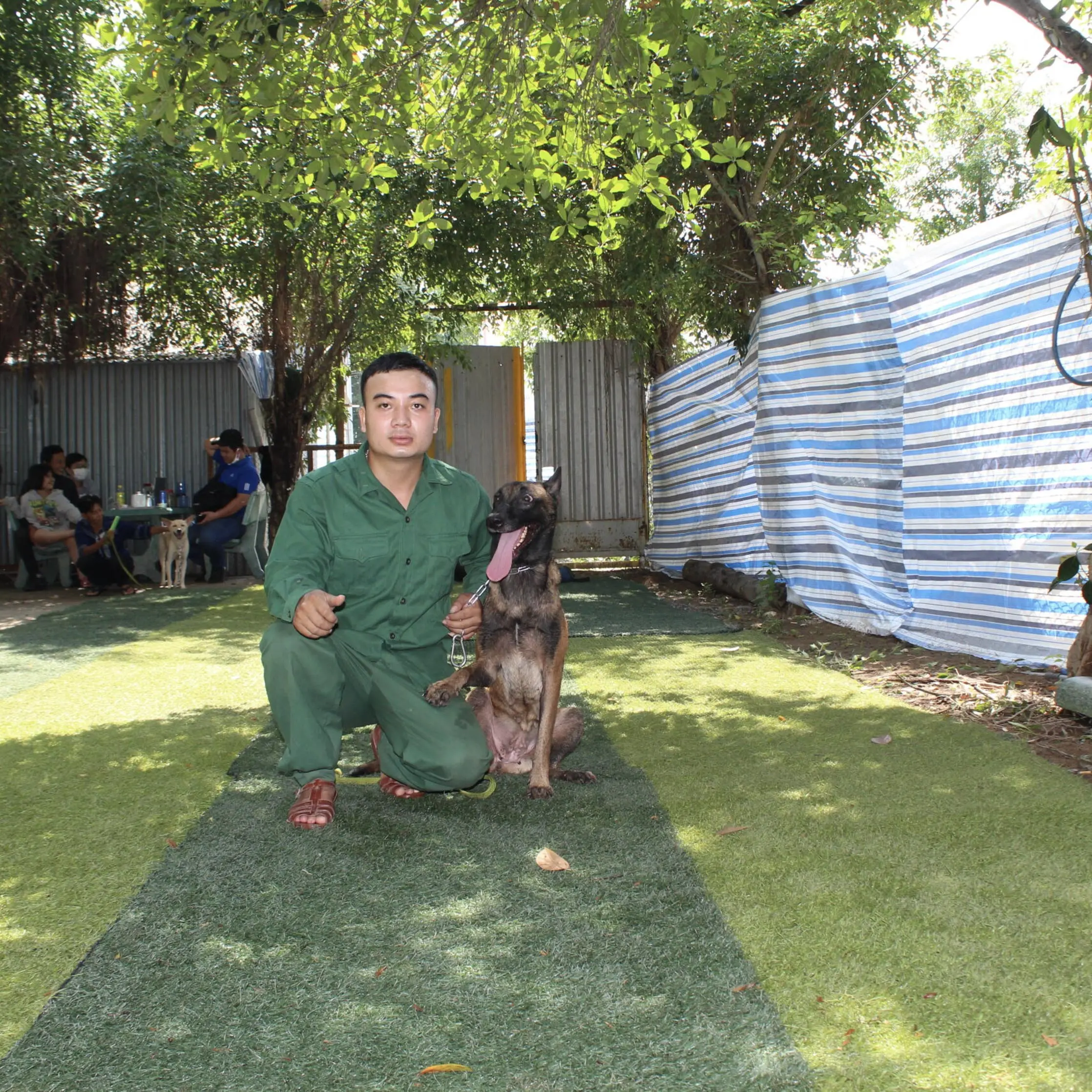 Huấn luyện chó Malinois tại KHUYỂN VIỆT