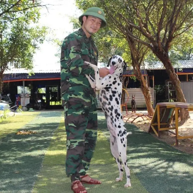 Huấn luyện chó Malinois tại KHUYỂN VIỆT
