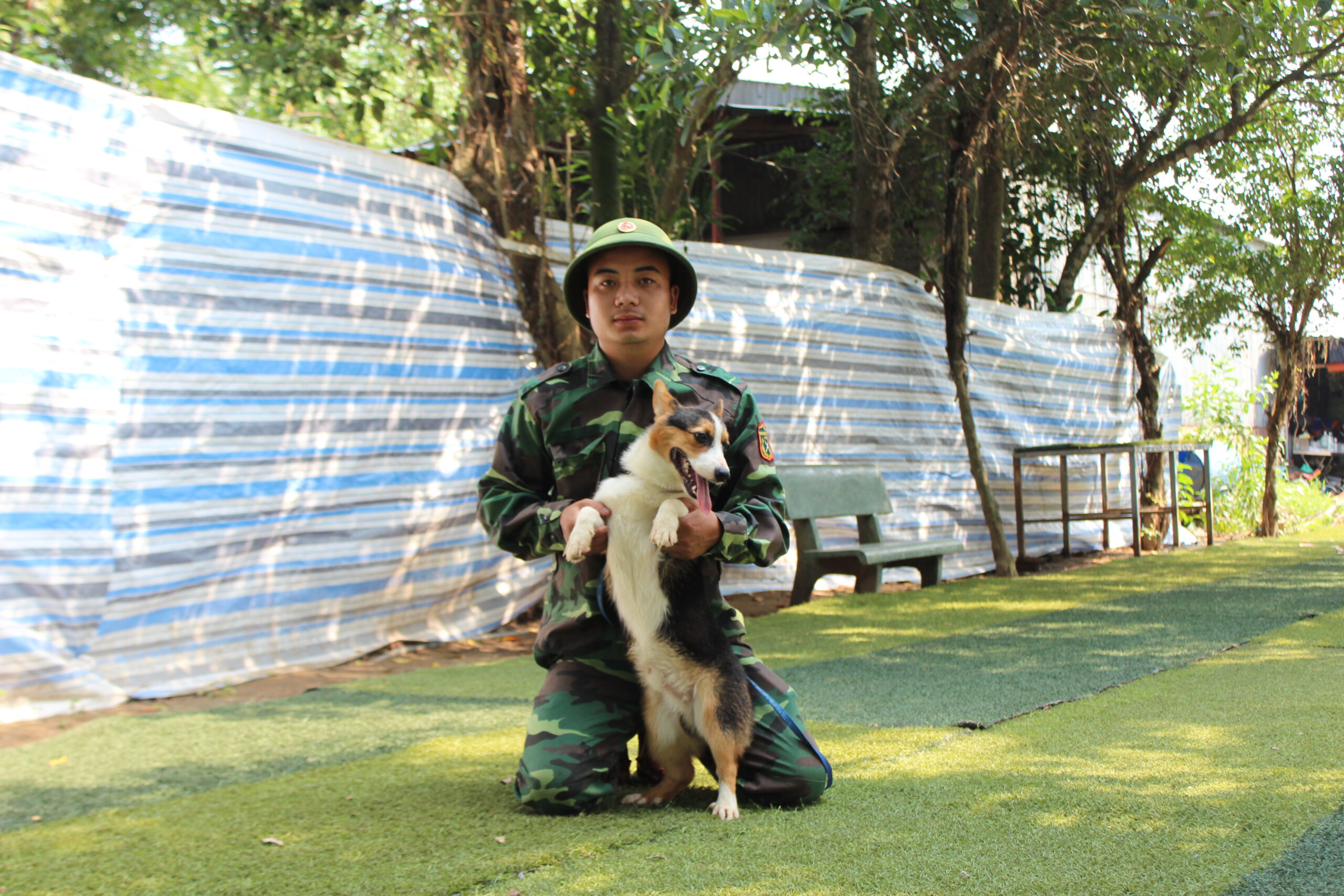 huấn luyện chó corgi