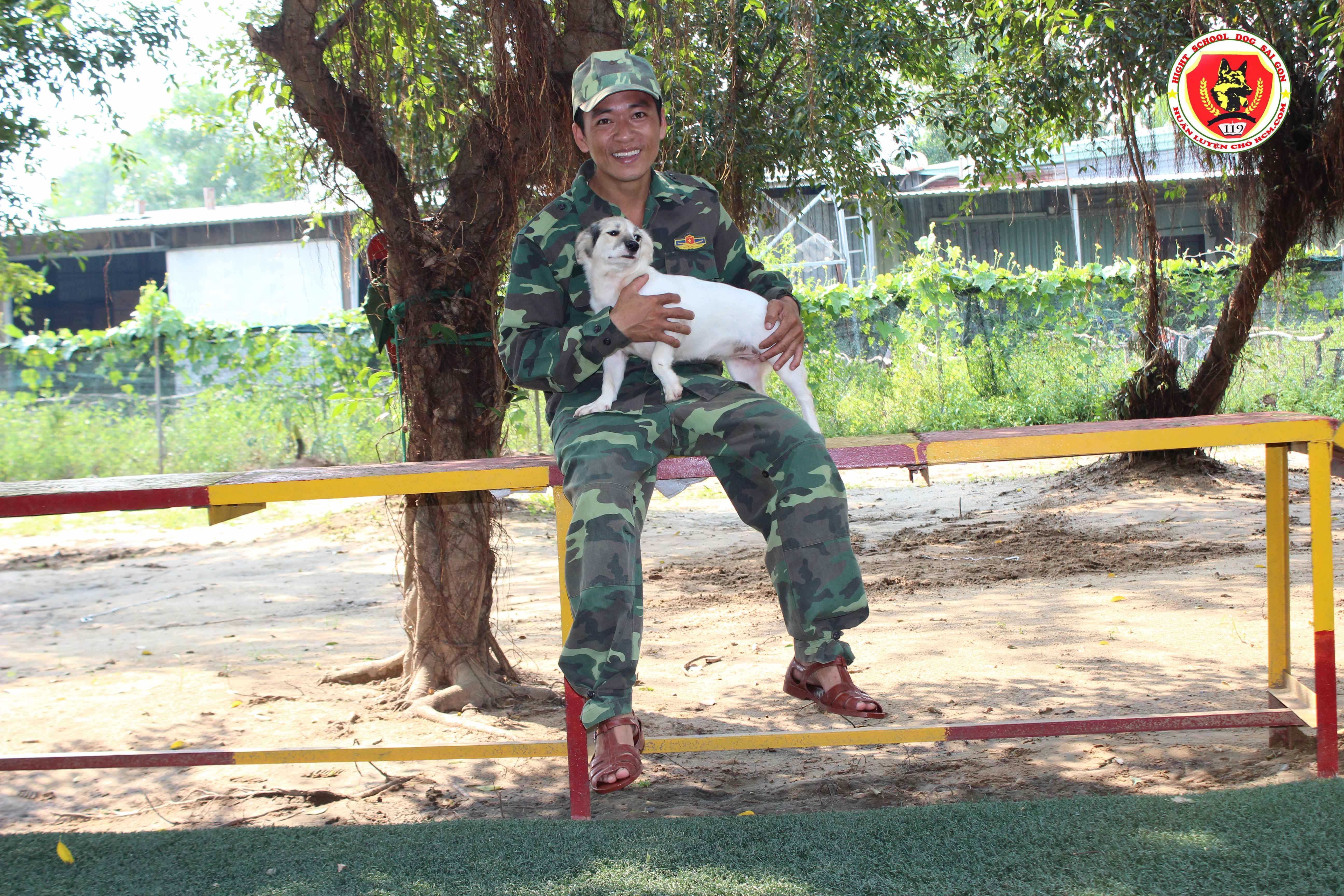 huấn luyện chó cỏ