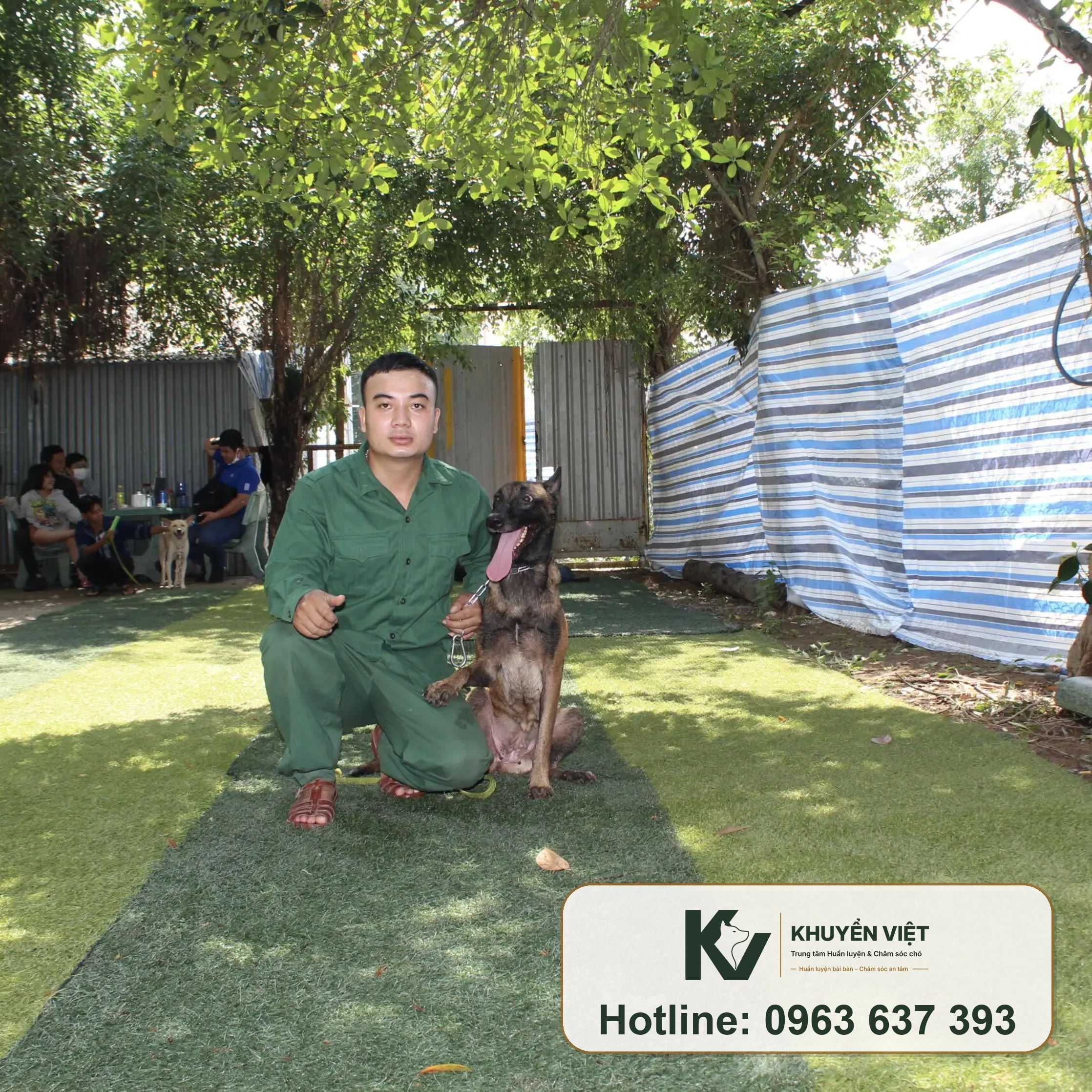 Huấn luyện viên kiểm soát Malinois khi luyện nghe lệnh