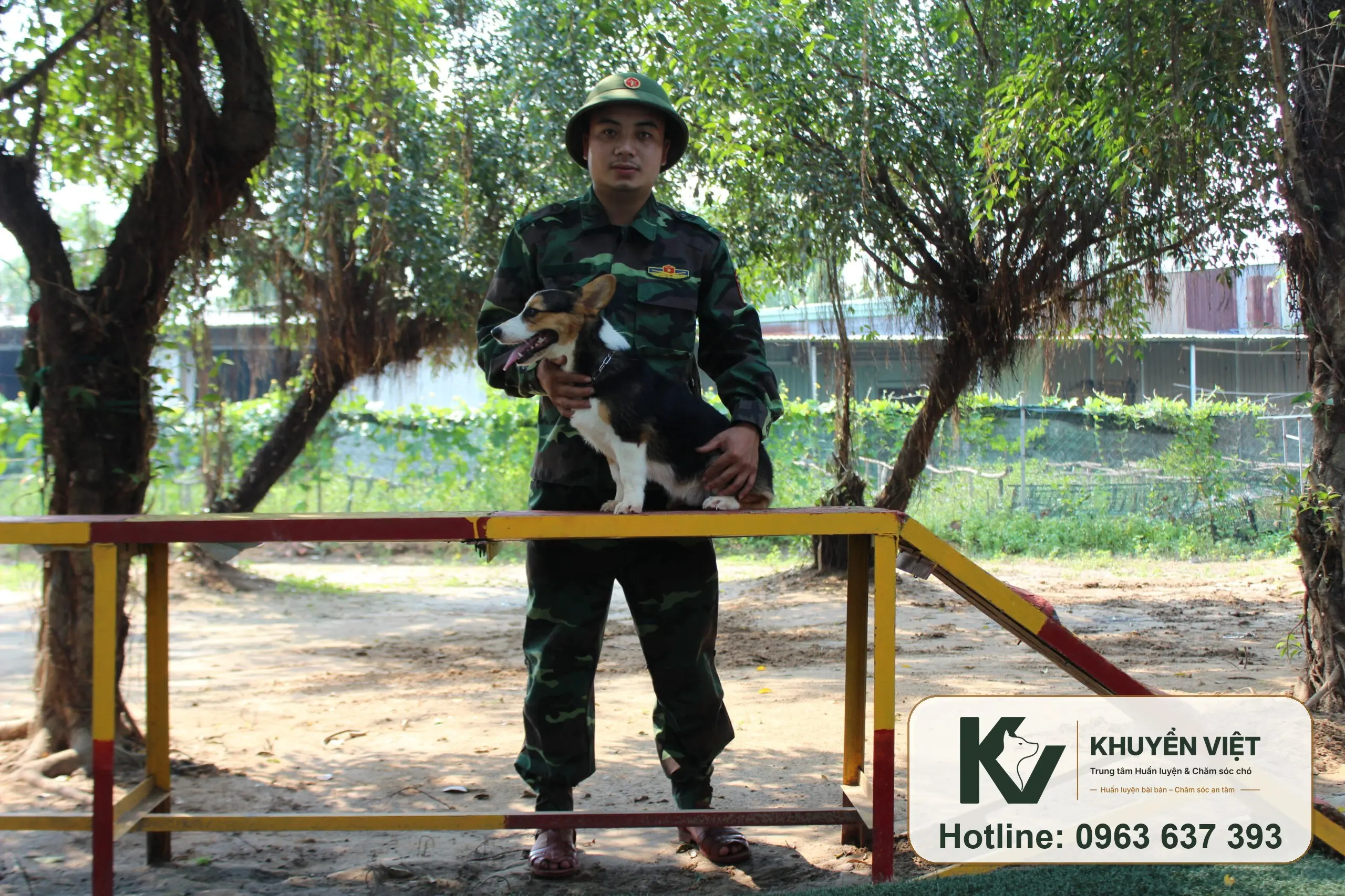Chăm sóc chó nội trú tại KHUYỂN VIỆT