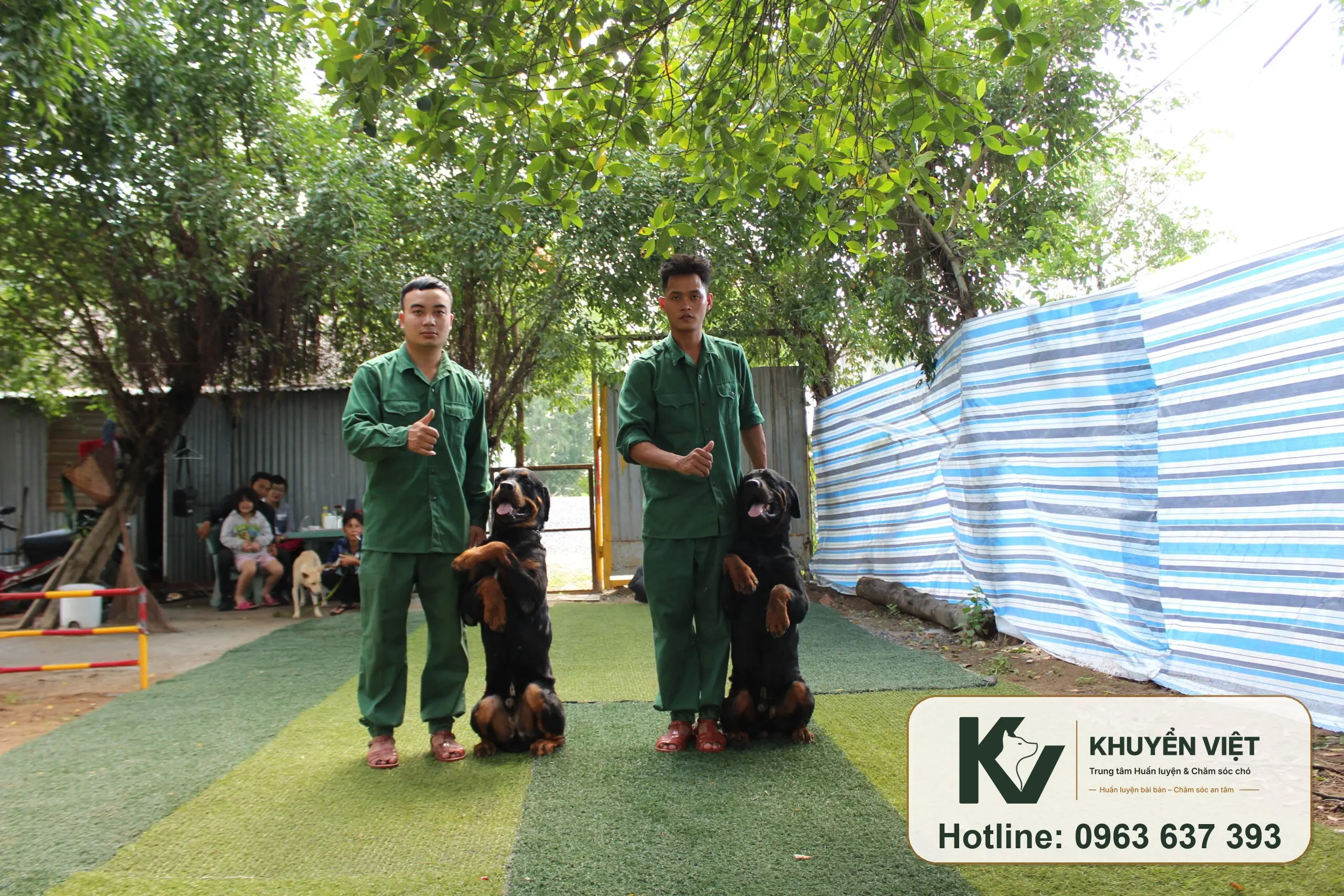 Huấn luyện chó Malinois trong môi trường thực tế