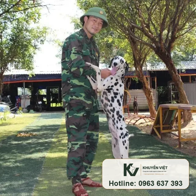 Chó Đốm
